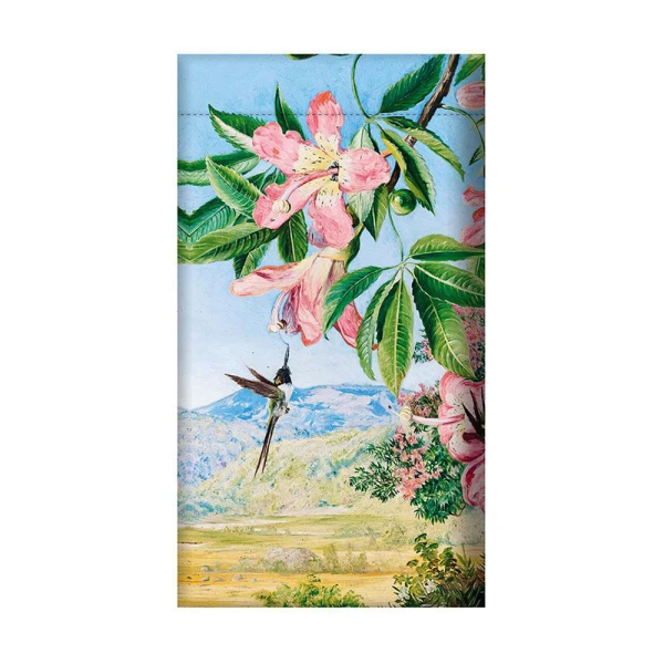 LE MUSEE COLLECTION ΘΗΚΗ ΓΥΑΛΙΩΝ ΠΛΑΚΕ - NORTH OISEAU