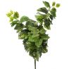 ROOT GREEN LUST 60 cm WITH 120 LEAVES