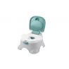 FISHER PRICE 3 IN 1 POTTY