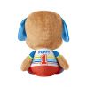FISHER PRICE LARGE EDUCATIONAL PUPPY SMART STAGES BLUE