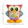 FISHER PRICE LINKIMALS™ LIGHT-UP & LEARN™ OWL