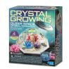 4M CRYSTAL GROWING OUTER SPACE