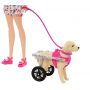 BARBIE PUPPIES WITH WHEELCHAIR
