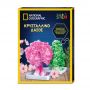 NATIONAL GEOGRAPHIC EDUCATIONAL CRYSTAL FOREST