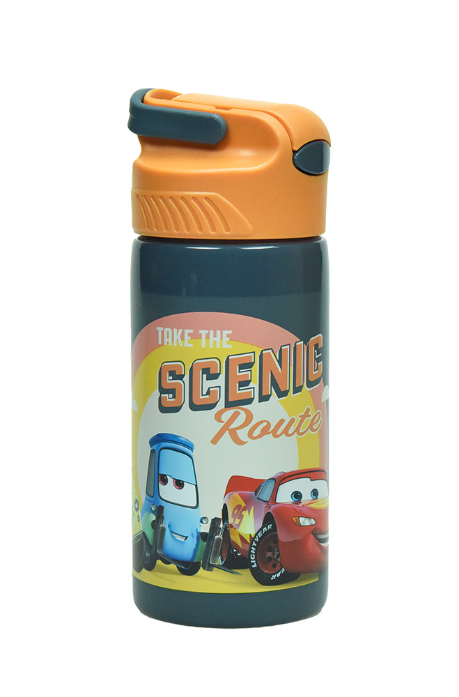 STAINLESS STEEL CANTEEN 500ml CARS ON THE ROAD